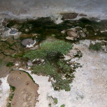 Colors of the Geysers of Tatio